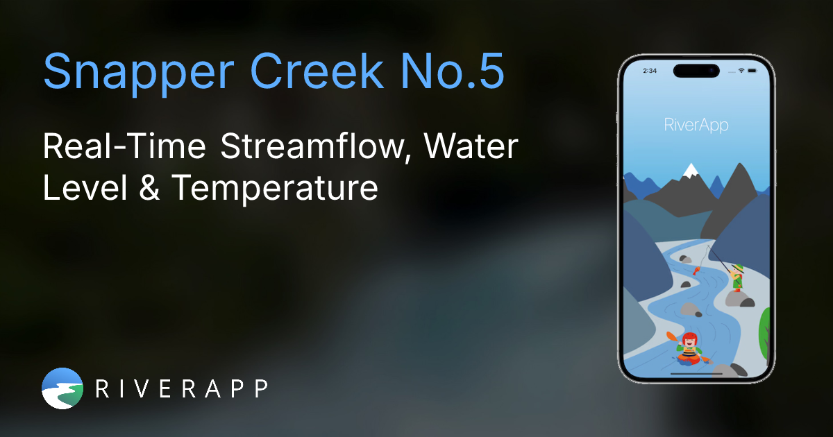 Snapper Creek No.5 | Current River Conditions