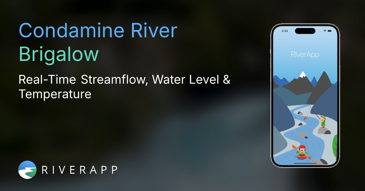 Condamine River | Brigalow - Real-Time Streamflow, Water Level ...